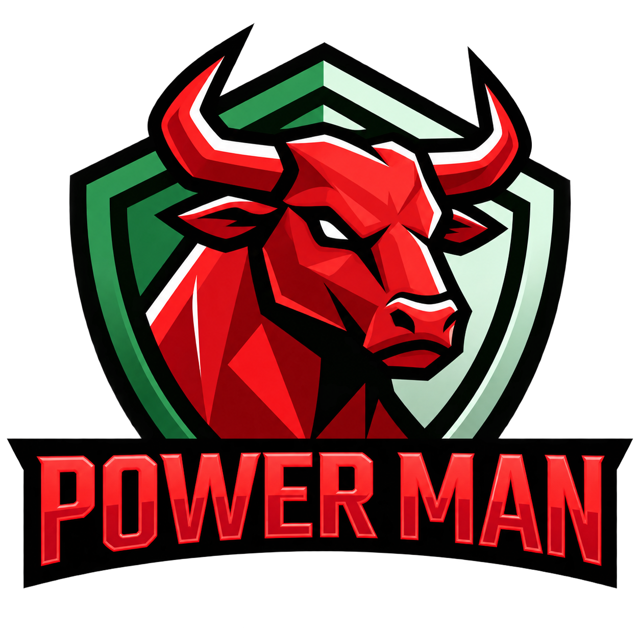 Power Man Dz